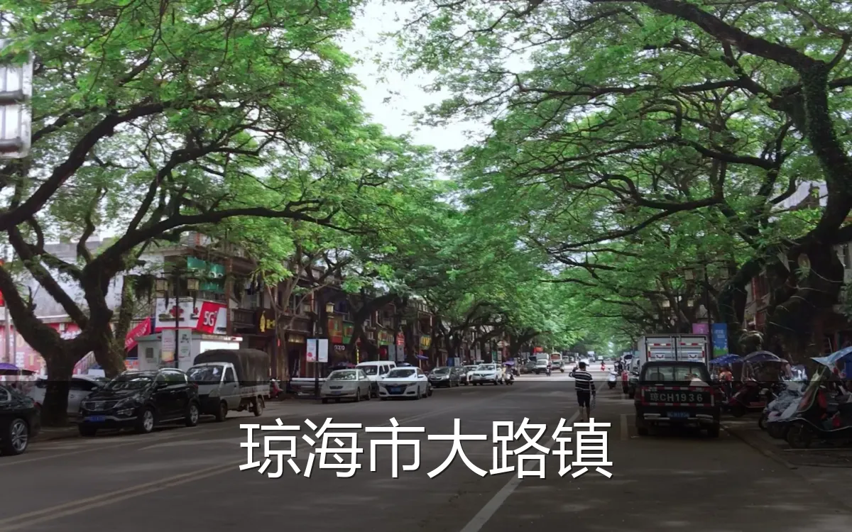 琼海市大路镇